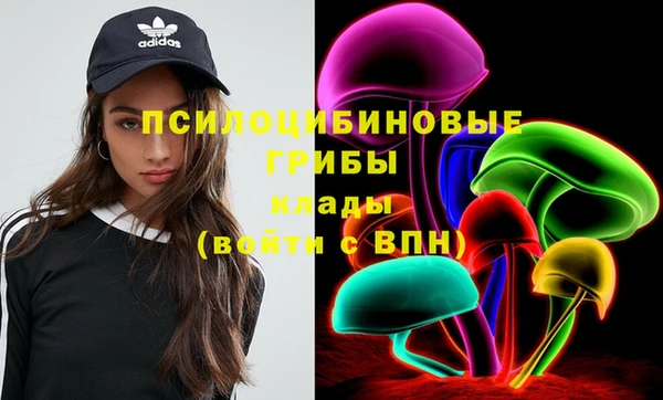 герыч Ельня